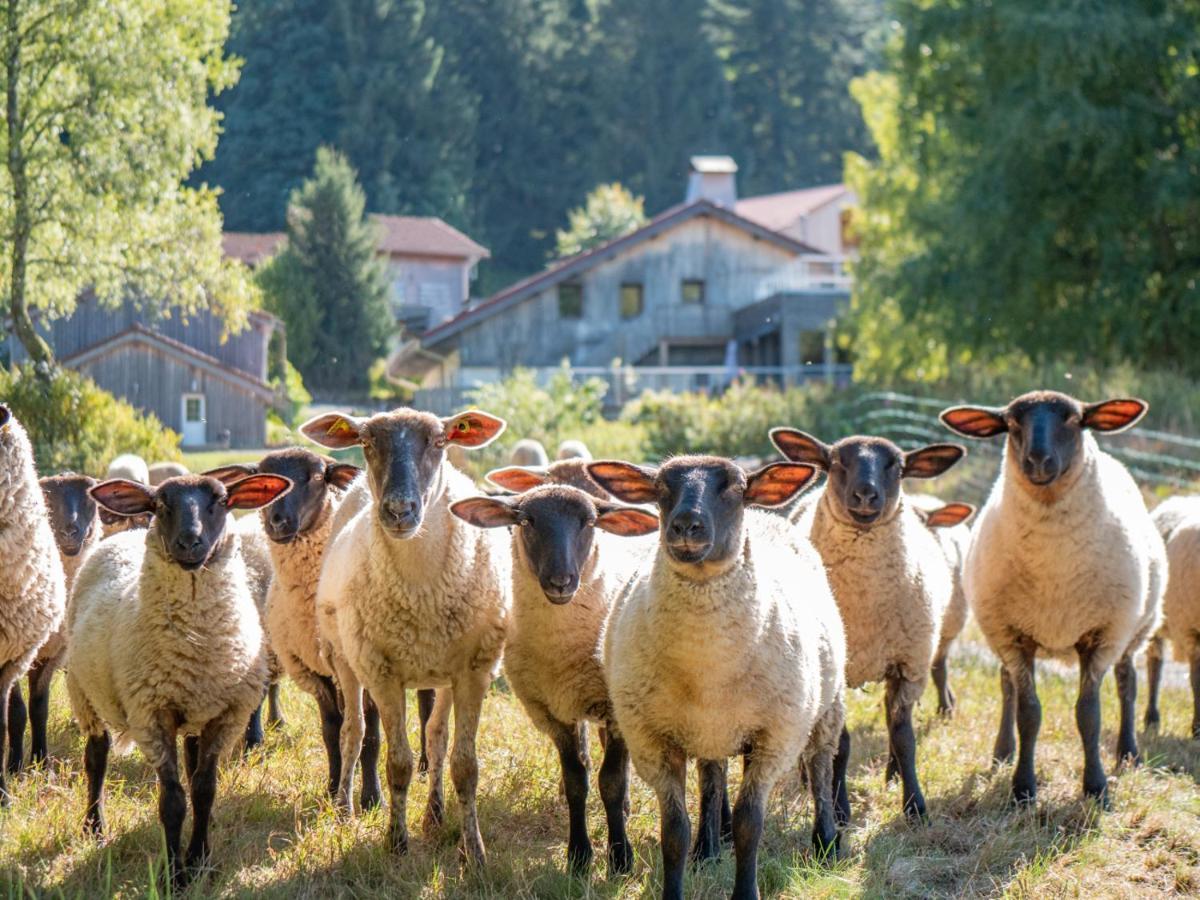 Auberge De La Poulciere Gerardmer Ngoại thất bức ảnh